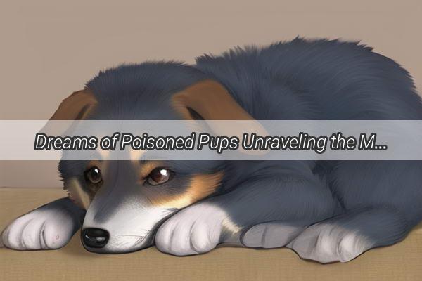 Dreams of Poisoned Pups Unraveling the Mysteries Behind a Terrifying Nightly Vision